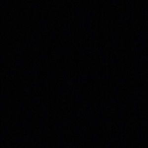 Meet your Posher, Sunny